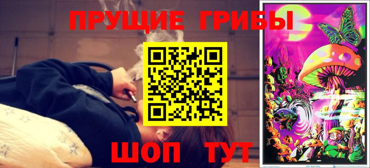 Псилоцибиновые грибы Psilocybine cubensis  Вход с VPN  Псилоцибиновые грибы мицелий  Новокубанск 